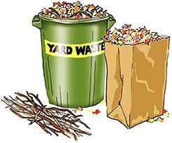 Branch & Yard Waste Collection Bi-Monthly Schedule Resumes in April