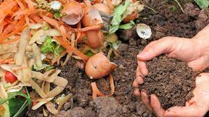 It’s Easy Being Green – The Basics of Backyard Composting