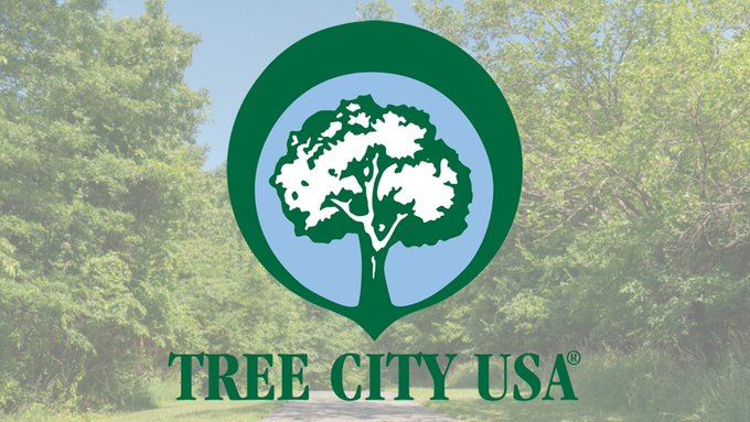 Borough Receives Tree City USA Accreditation for 28th Year
