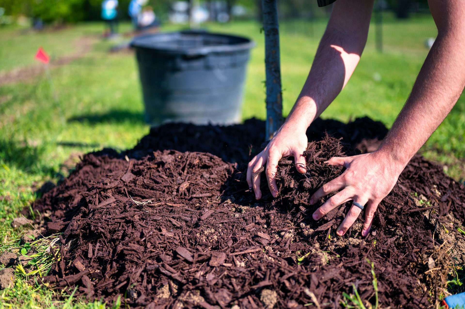 Donate Your Extra Mulch!