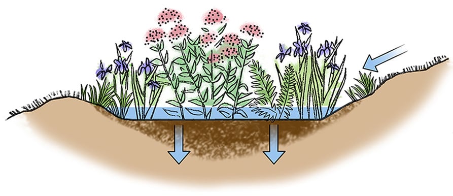 Rain Garden Workshop – June 19th